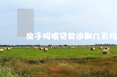 房子按揭贷款逾期几天(按揭房逾期多久起诉)