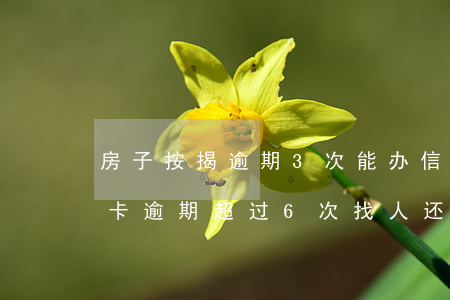 房子按揭逾期3次能办信用卡吗(买房子信用卡逾期超过6次,找人还能贷款吗)
