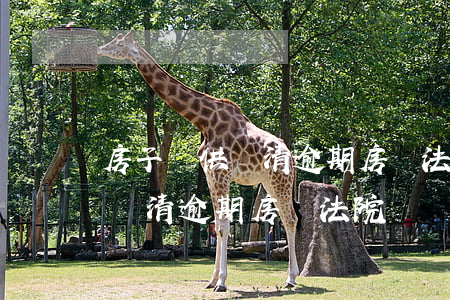 房子斷供還清逾期房貸法院來傳票(房子斷供還清逾期房貸法院來傳票)