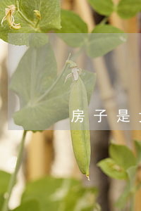 房子是女方的名字離婚后怎么處理