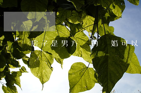 房子是男方買的離婚可以分嗎