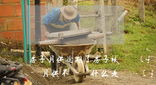 房子月供逾期了房子被開發(fā)商起訴-月供不還為什么是開發(fā)商起訴