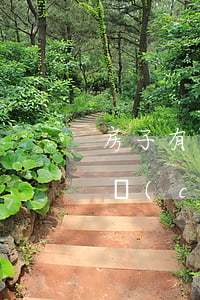 房子有債務(wù)離婚怎么分割(離婚了房產(chǎn)怎么分割?)