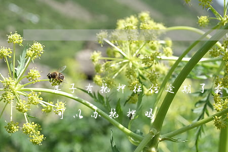 房子有抵押征信逾期了卖吗(征信逾期有房子可以办抵押吗)