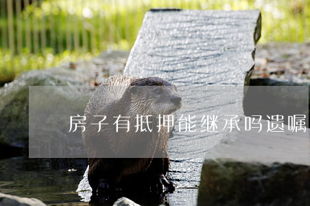房子有抵押能继承吗(遗嘱继承的房子被抵押)