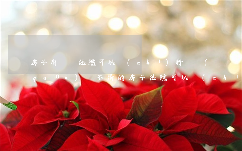 房子有糾紛法院可以執(zhí)行嗎(權(quán)屬不清的房子法院可以執(zhí)行嗎)