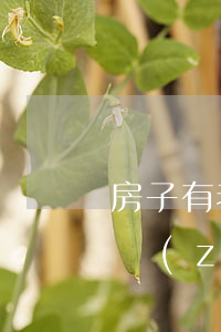 房子有老人住法院可以執(zhí)行嗎(被執(zhí)行房屋有老人居住)