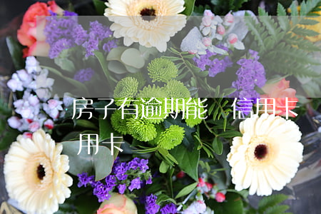 房子有逾期能辦信用卡嗎(房子有逾期能辦信用卡嗎)