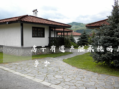 房子有遗产继承税吗(房子遗产税和继承税是多少)