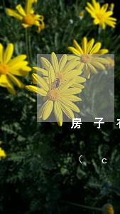 房子有遺產(chǎn)繼承稅嗎(房子遺產(chǎn)稅和繼承稅是多少)