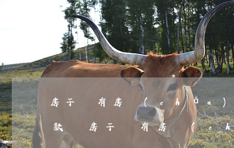 房子沒有房產(chǎn)證能買嗎，可以貸款嗎（房子沒有房產(chǎn)證可以貸款嗎）
