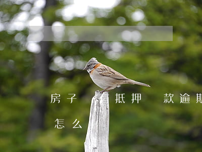 房子沒有抵押貸款逾期(房子抵押逾期還不上怎么辦)