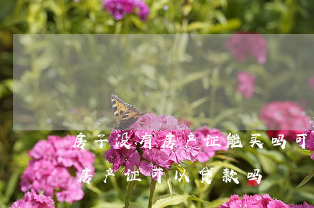 房子没有房产证能买吗，可以贷款吗（房子没有房产证可以贷款吗）