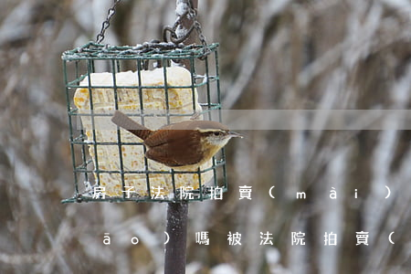 房子法院拍賣(mài)后可以撤銷(xiāo)嗎(被法院拍賣(mài)的房子能撤回嗎?)
