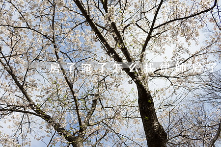 房子淹了怎么找律師(房子淹了怎么找律師)