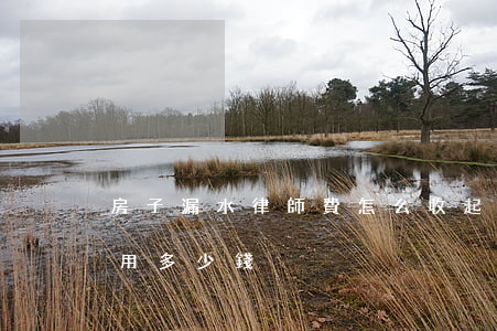 房子漏水律師費怎么收(起訴樓上漏水律師費用多少錢)