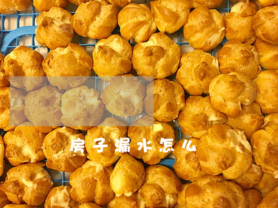 房子漏水怎么辦
