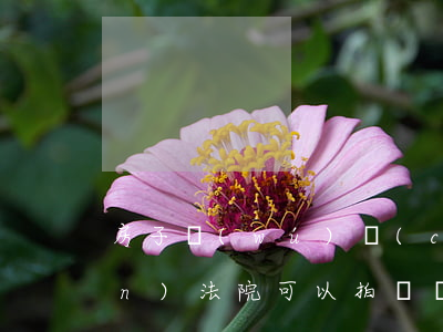 房子無(wú)產(chǎn)權(quán)法院可以拍賣嗎(法院是否可以拍賣小產(chǎn)權(quán)房產(chǎn))