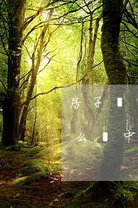 房子產(chǎn)權(quán)到期怎么辦，中國房子產(chǎn)權(quán)到期怎么辦