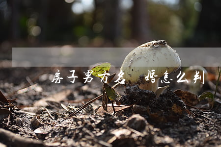 房子男方名離婚怎么判