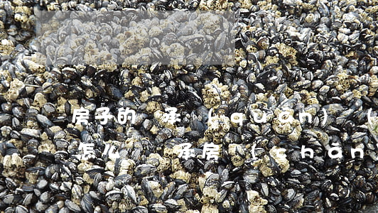 房子的繼承權(quán)應(yīng)怎么寫(繼承房產(chǎn)怎么寫)
