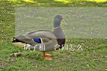 房子租賃合同怎么寫