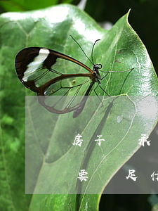 房子繼承有什么規(guī)定(房屋繼承需要滿足什么條件)
