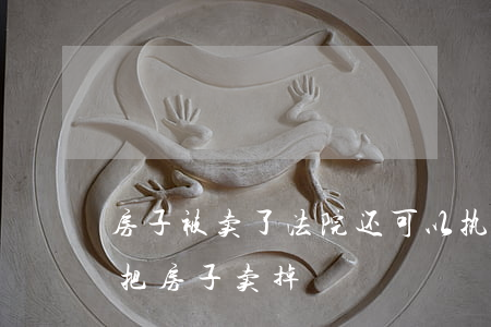 房子被卖了法院还可以执行吗(在法院执行前把房子卖掉)