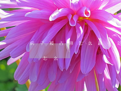 房子被占用怎么起訴范本(非法占用房屋起訴書怎么寫)