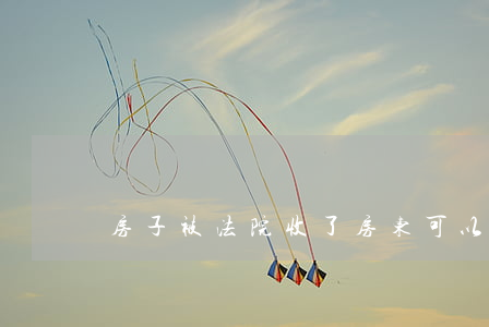 房子被法院收了房东可以买吗