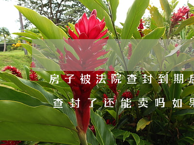 房子被法院查封到期后可以卖吗(房子被法院查封了还能卖吗如果解封能买吗)