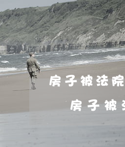 房子被法院查封可以提執(zhí)行異議嗎(房子被法院查封如何提出異議)