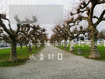 房子被法院查封可以貸款嗎(有貸款的房子可以查封嗎)