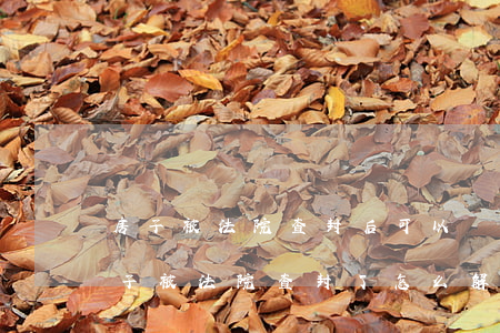 房子被法院查封后可以進(jìn)去嗎(房子被法院查封了怎么解除查封)