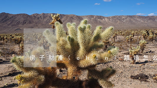 房子財產(chǎn)離婚怎么分割