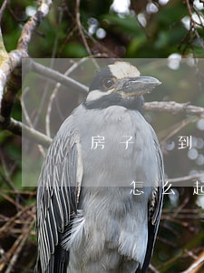 房子買到腰線層怎么起訴律師(房子買到腰線層怎么起訴律師)