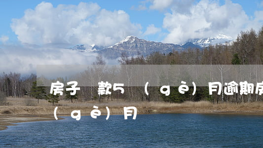 房子貸款5個(gè)月逾期(房貸逾期五個(gè)月)