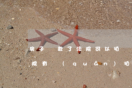 房子貸款了法院可以拍賣嗎(有貸款的房子法院有權(quán)拍賣嗎)