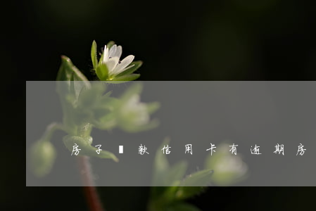 房子貸款信用卡有逾期(房貸 信用卡逾期)