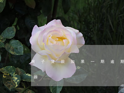 房子貸款如果一期逾期(房貸逾期一年多怎么辦)