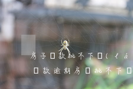 房子貸款批不下來(lái)有信用卡逾期(貸款逾期房貸批不下來(lái)怎么辦)