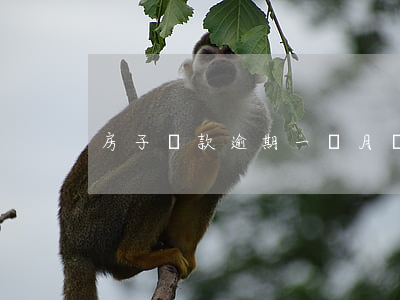 房子貸款逾期一個月會怎樣
