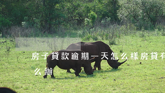 房子貸款逾期一天怎么樣(房貸有一天逾期怎么辦)