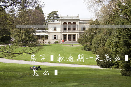 房子貸款逾期一天怎么辦(房貸如果逾期一天怎么辦)