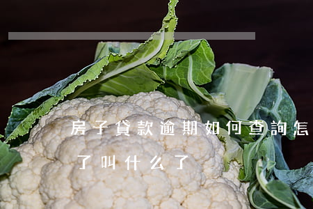 房子貸款逾期如何查詢(怎么查逾期的貸款,忘了叫什么了)