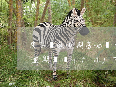 房子貸款逾期房地產(chǎn)代還(房貸逾期開發(fā)商代償了一個(gè)月)