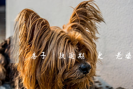 房子貸款逾期變更給老婆(老公逾期老婆能房貸嗎)