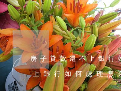 房子貸款還不上銀行如何處理，房子貸款還不上銀行如何處理，怎么處理不會(huì)影響征信