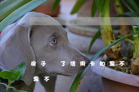 房子賣了信用卡如果不還(房子賣了信用卡如果不還)