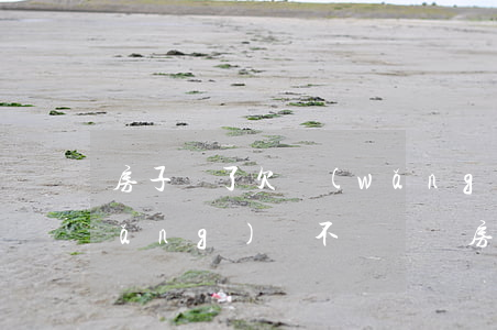 房子賣了欠網(wǎng)貸不還(欠網(wǎng)貸不還會賣房產(chǎn)嗎)